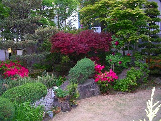 jardin japones 2.jpg